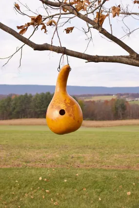 Cabin Birdhouse - Yellow